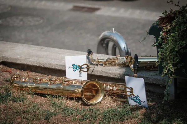 ericberger abbaye perroy 26 fanfare 04